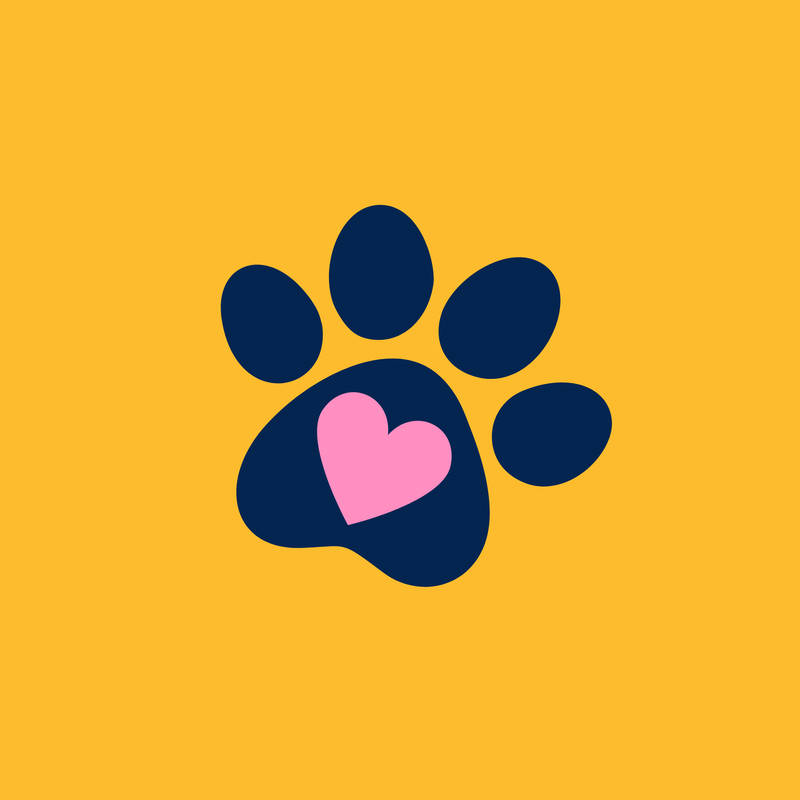 Pet Obsessed
